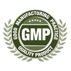 gmp